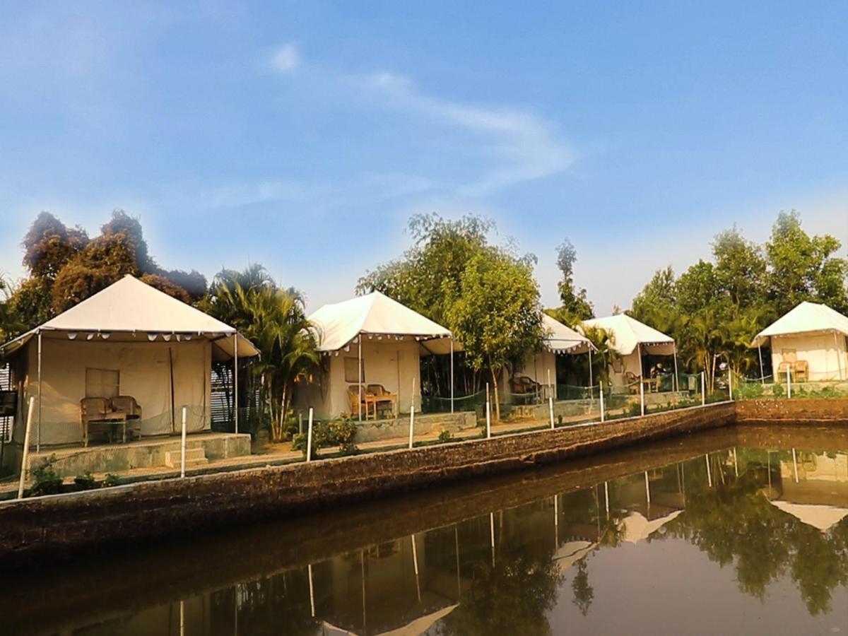 Jungle Camp Hotel 3*
